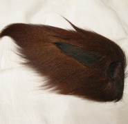 bucktail large brown